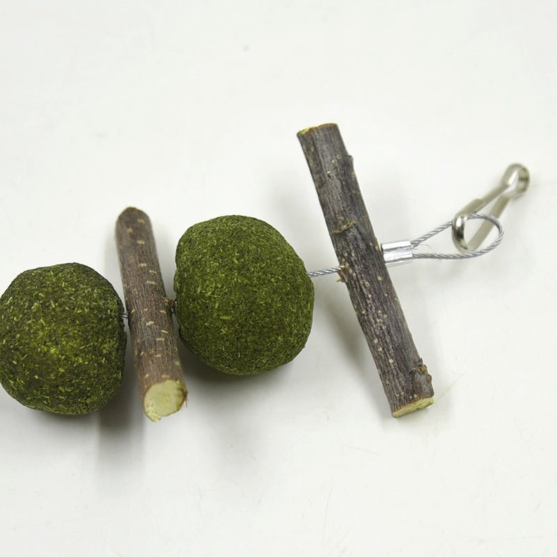 Natural Pet Molar Toy Set – 5 Grass Balls & 6 Apple Branches - TailTiddy