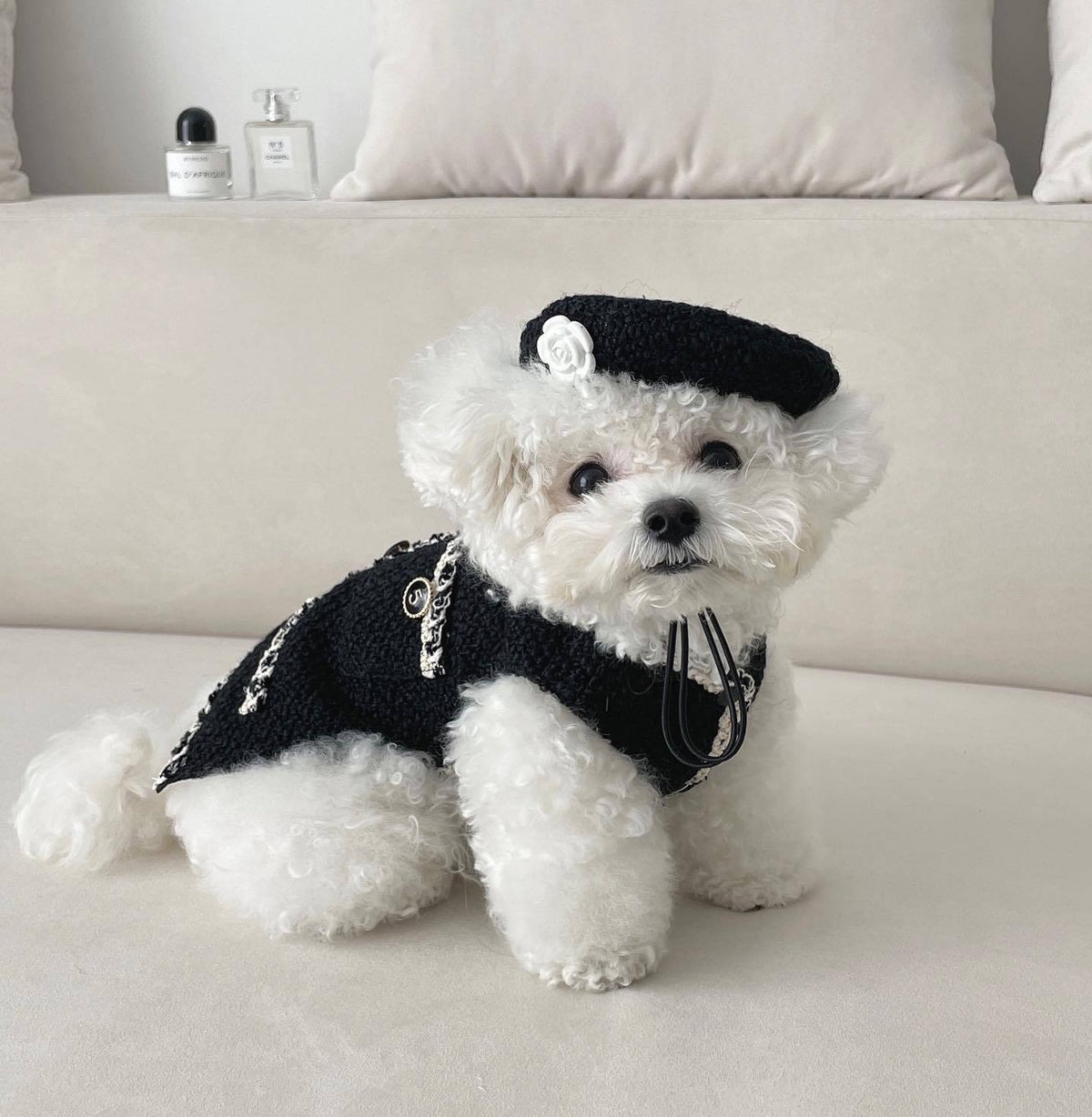 Pet Dog Cat Accessories Knitted Hat - TailTiddy