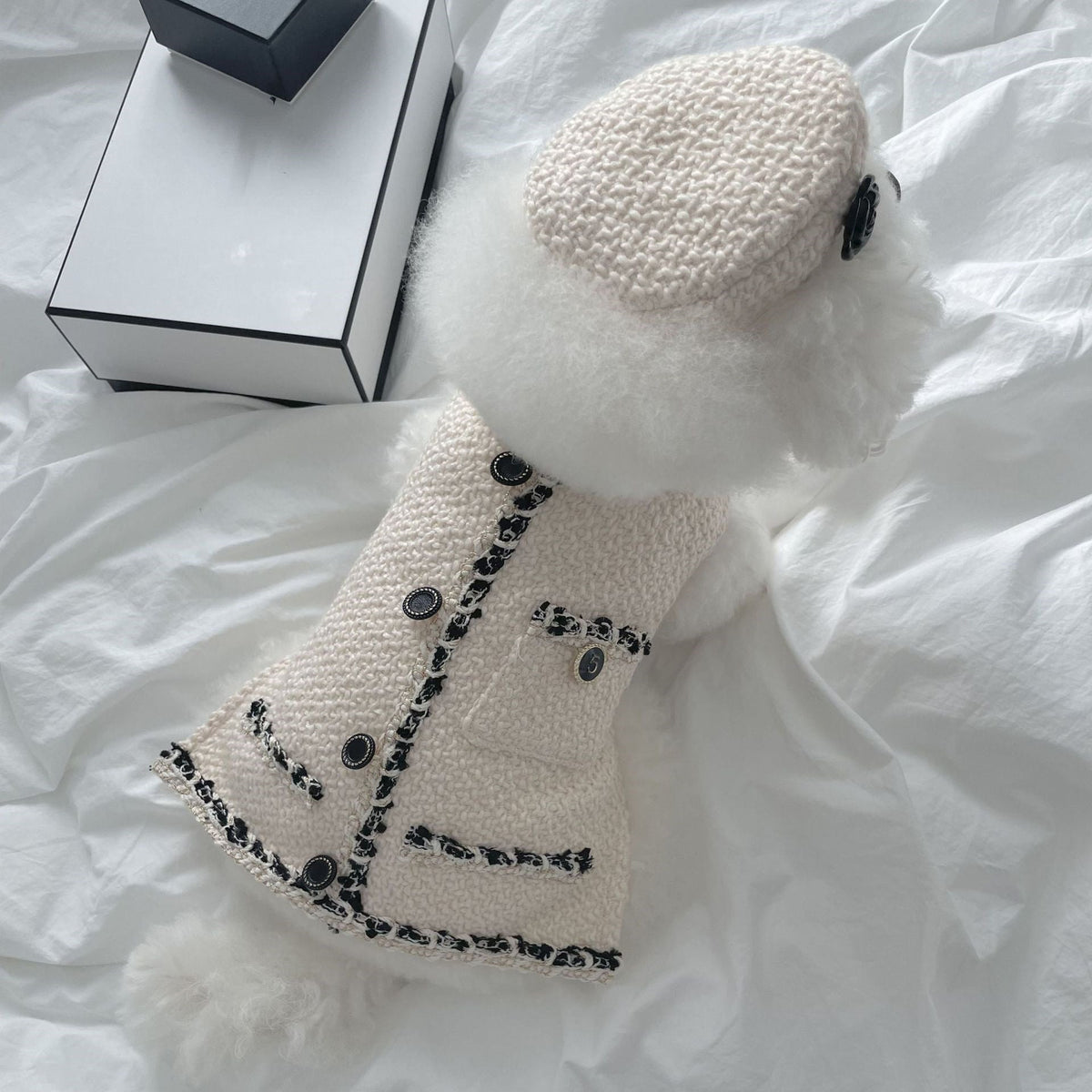 Pet Dog Cat Accessories Knitted Hat - TailTiddy