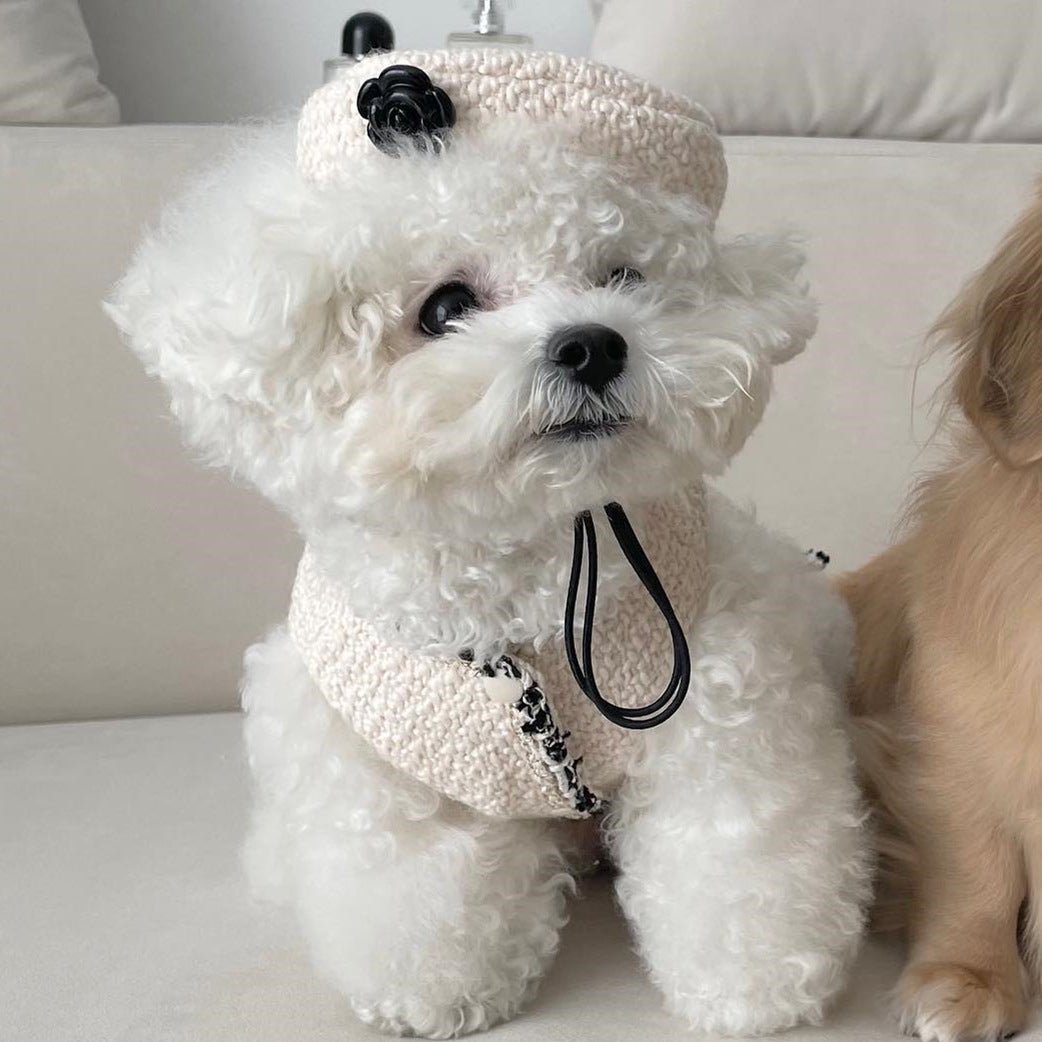 Pet Dog Cat Accessories Knitted Hat - TailTiddy
