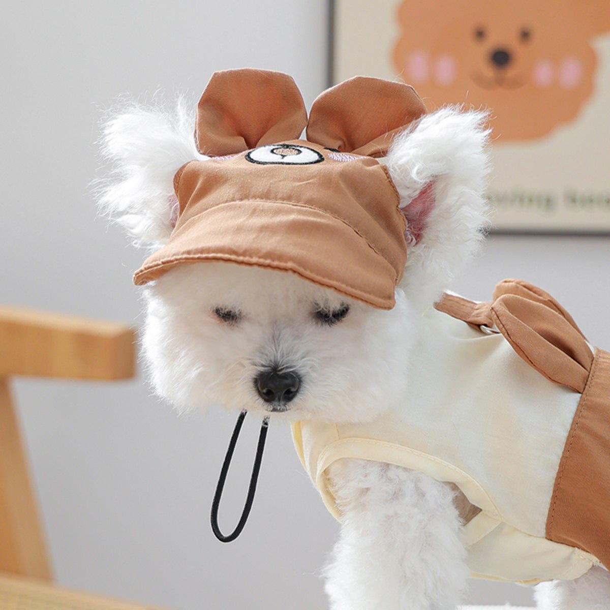 Pet Sun-protection Hat For Dressing Up And Photo Shoots - TailTiddy