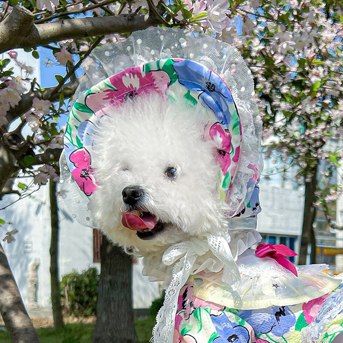 Pet Sun-protection Hat For Dressing Up And Photo Shoots - TailTiddy