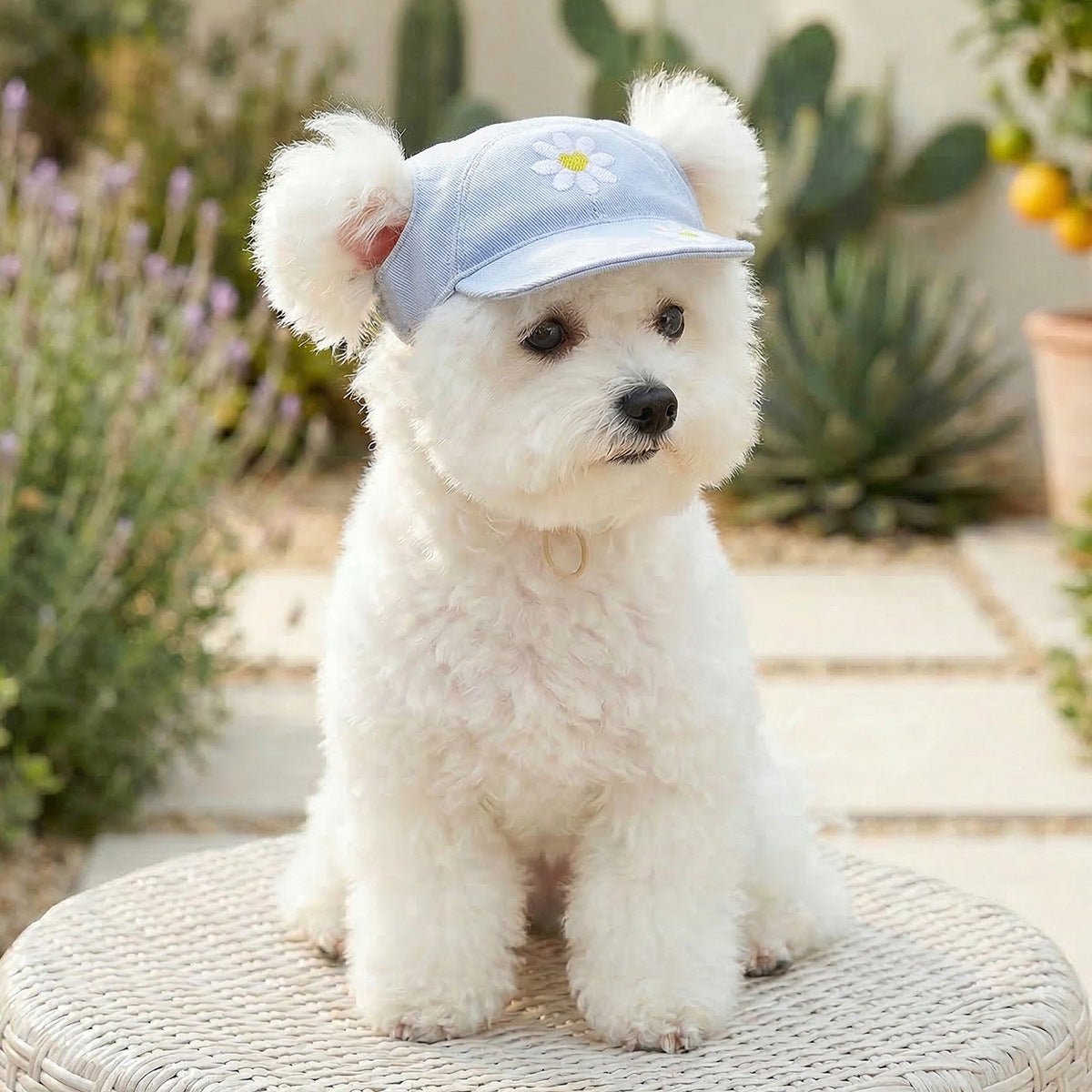 Pet Sun-protection Hat For Dressing Up And Photo Shoots - TailTiddy