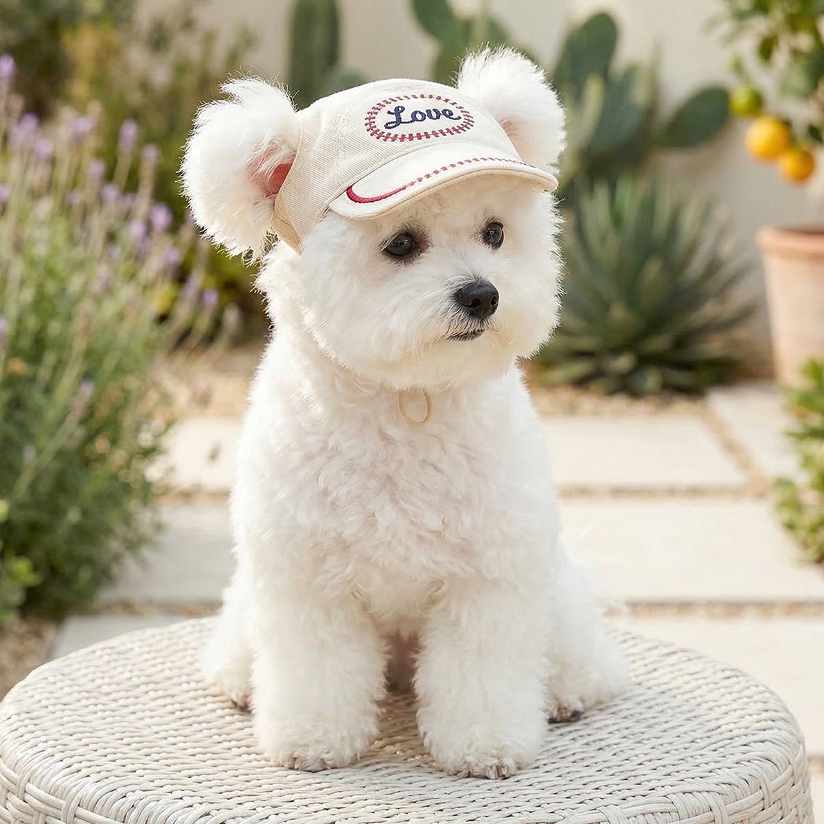 Pet Sun-protection Hat For Dressing Up And Photo Shoots - TailTiddy