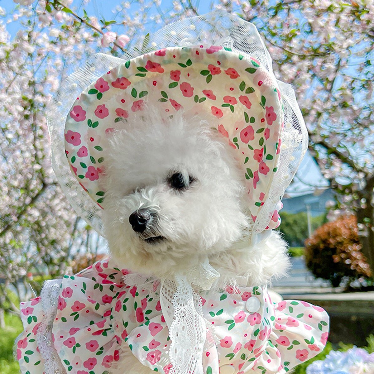 Pet Sun-protection Hat For Dressing Up And Photo Shoots - TailTiddy