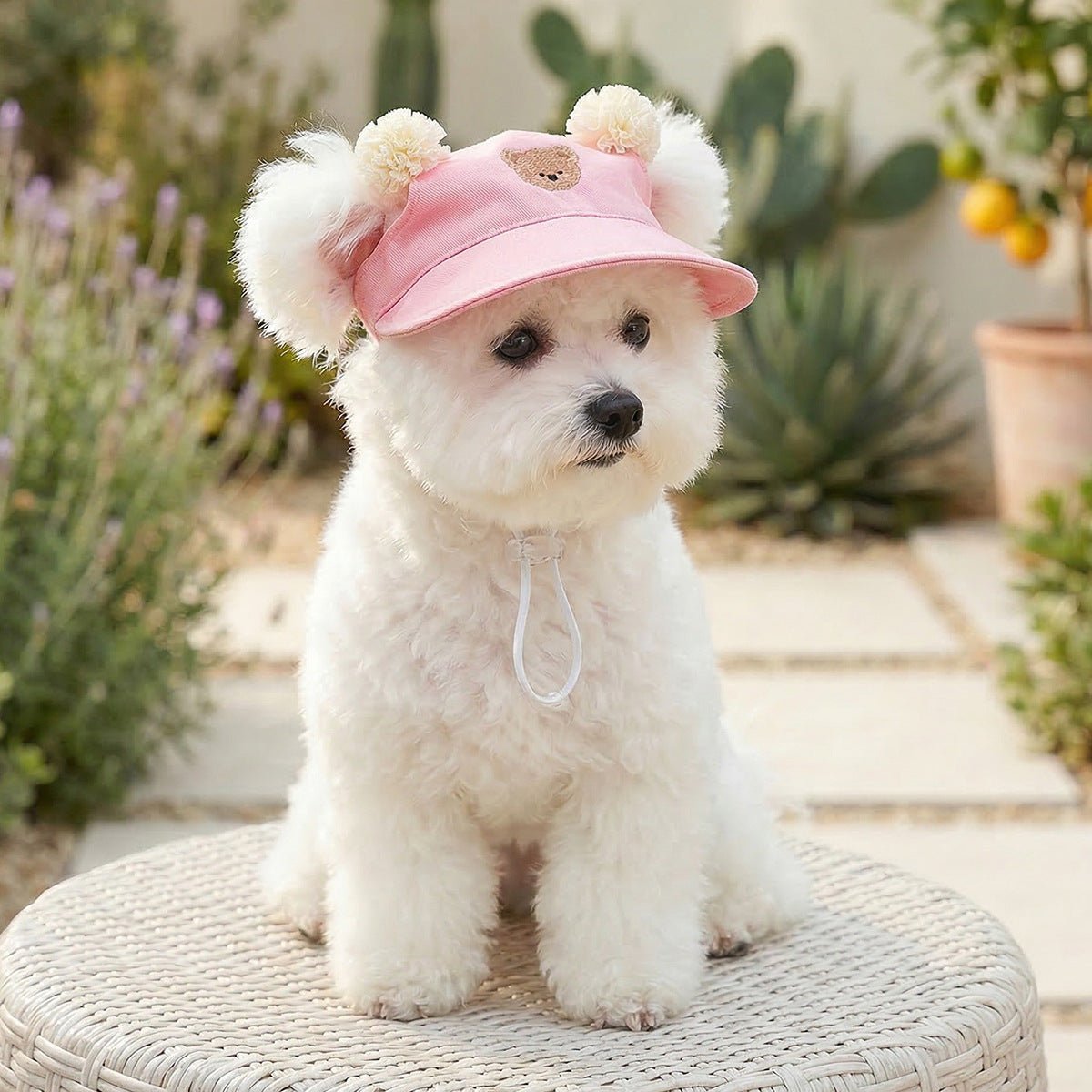 Pet Sun-protection Hat For Dressing Up And Photo Shoots - TailTiddy