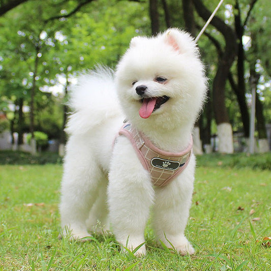 Reflective Dog Leash – Night Safety Traction Belt for Dogs - TailTiddy