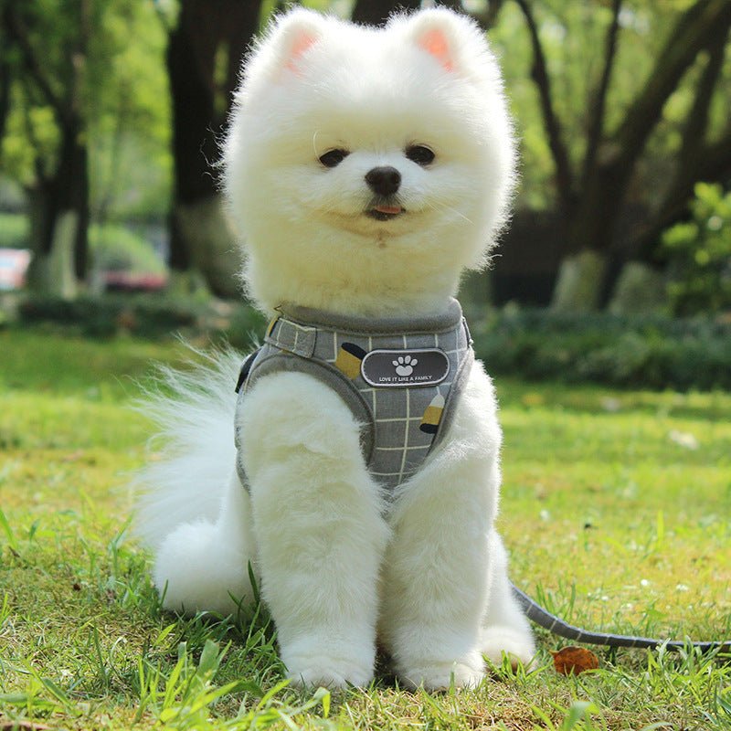 Reflective Dog Leash – Night Safety Traction Belt for Dogs - TailTiddy