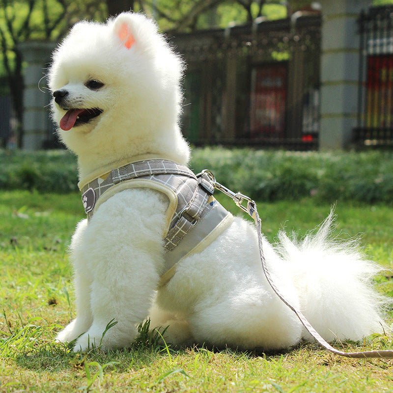 Reflective Dog Leash – Night Safety Traction Belt for Dogs - TailTiddy