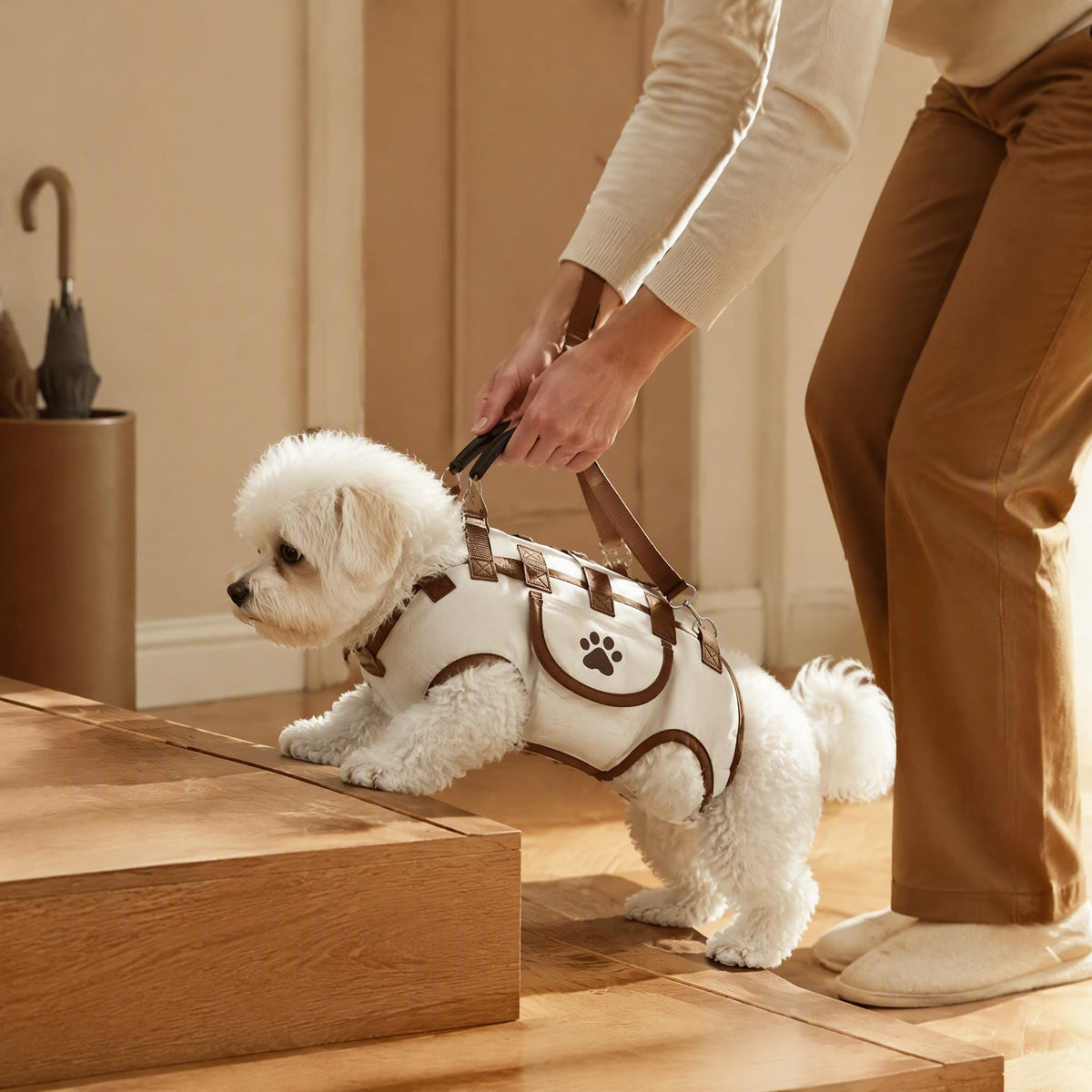 Small Dog Carrier Bag – Hands-Free Pet Carrier Purse with Shoulder Strap and Leash Function - TailTiddy