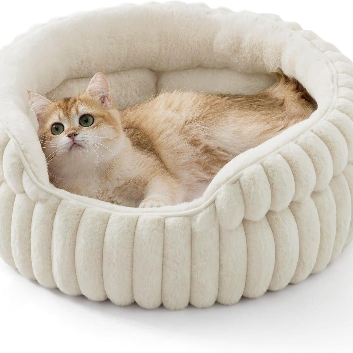 Winter Warm Cat Bed & Dog Mat – Thickened Rabbit Plush Round Pet Bed - TailTiddy
