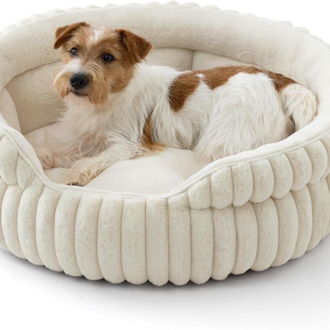 Winter Warm Cat Bed & Dog Mat – Thickened Rabbit Plush Round Pet Bed - TailTiddy